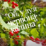 Всесвітній день вишиванки